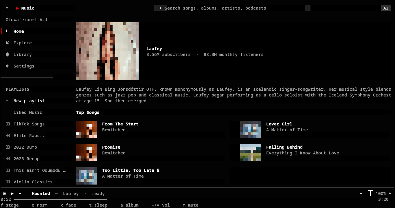 Screenshot showcasing high-resolution true-colour album art rendered via Kitty graphics protocol