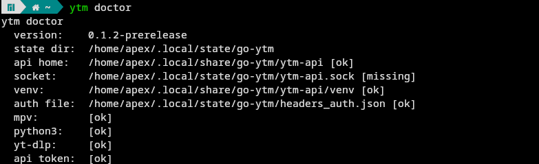 Screenshot showing the output of the ‘ytm doctor’ diagnostic command